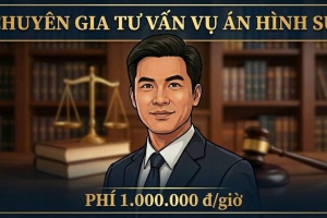 CHUYÊN GIA TƯ VẤN CHUYÊN SÂU VỀ VỤ ÁN HÌNH SỰ